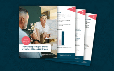 Tre verktyg som ger chefer trygghet i lönesättningen